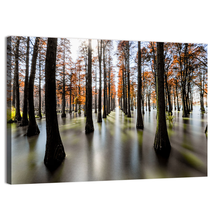 Autumn Flooded Cypress Forest Wall Art as a canvas print
