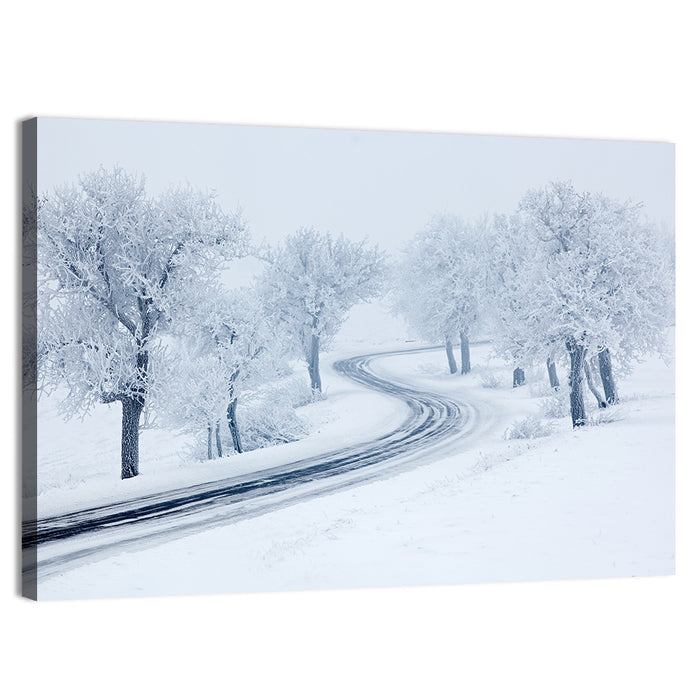 Misty Winter S-curve Road Wall Art as a canvas print