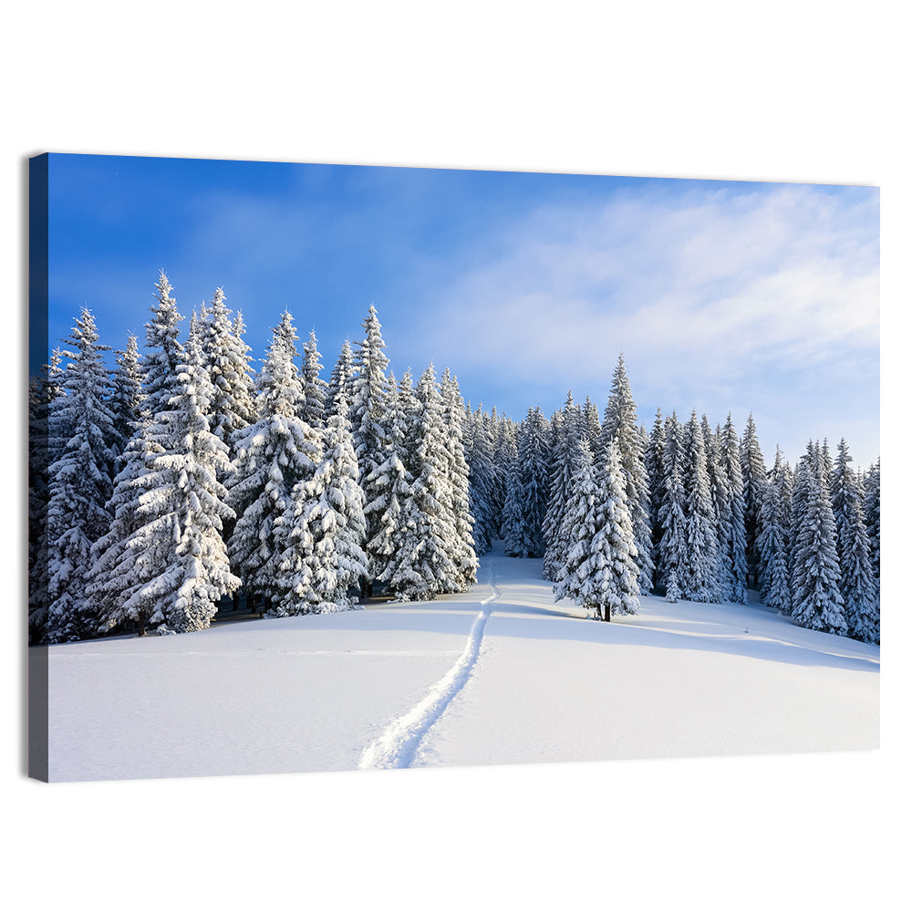 Snowy Mountain Forest Path Wall Art, canvas print, landscape