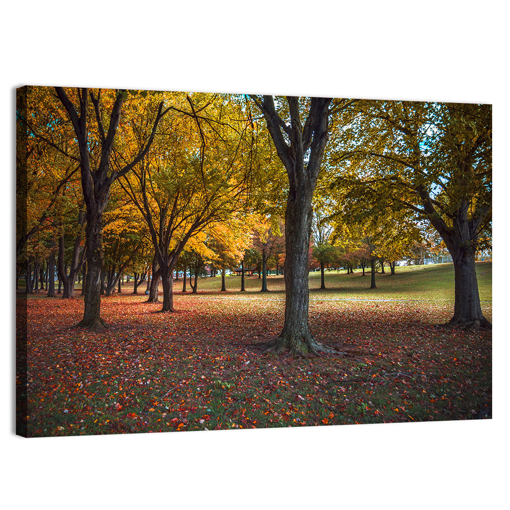 Autumn Park Trees, Pennsylvania Wall Art, canvas print, landscape