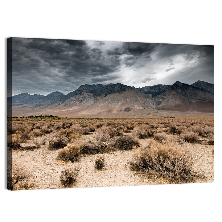 Storm Over Death Valley Wall Art