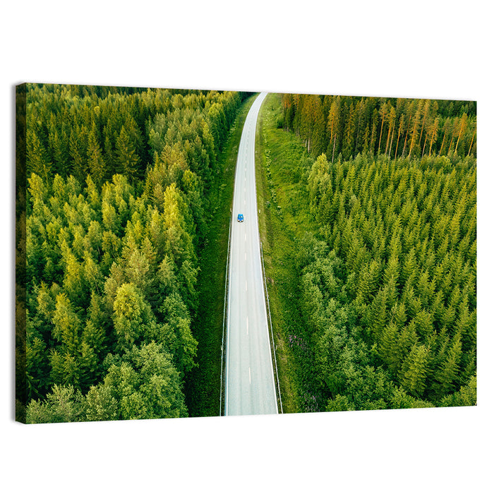 Blue Car on Forest Road Wall Art as a canvas print
