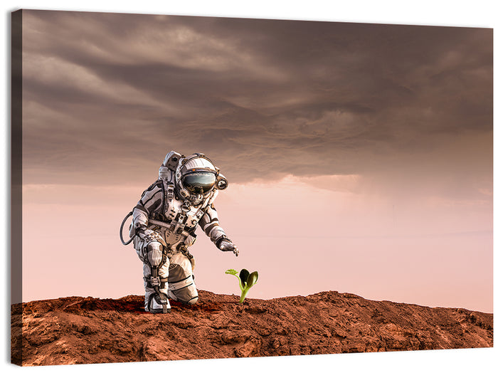 Martian Seedling Concept Wall Art as a canvas print