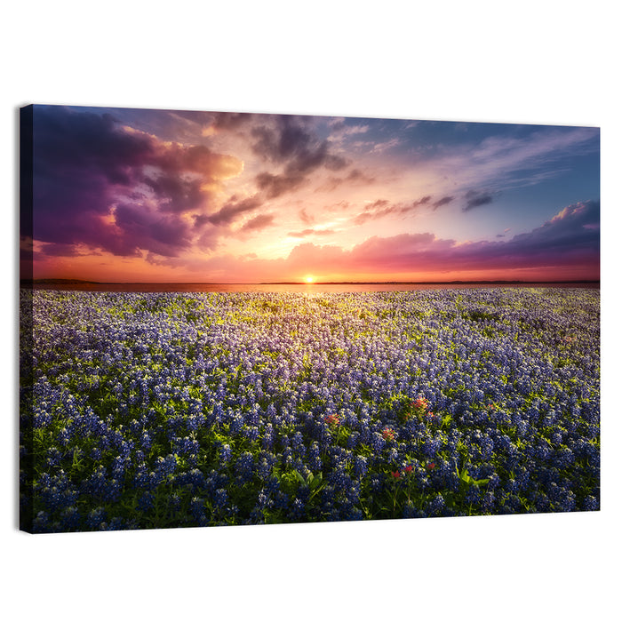 Texas Bluebonnet Sunset Wall Art as a canvas print