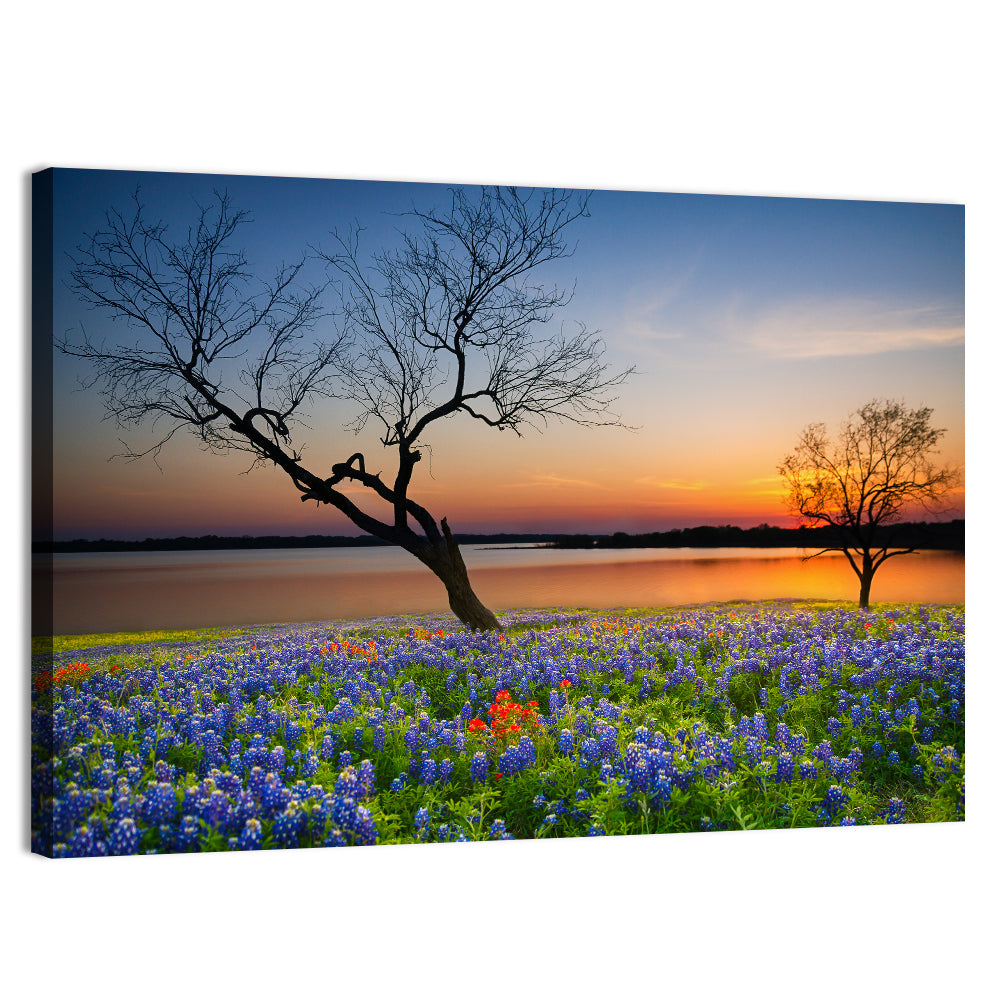 Texas Bluebonnet Sunset Wall Art, canvas print, landscape
