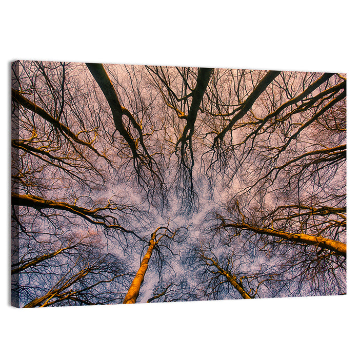 Misty Forest Canopy Wall Art as a canvas print