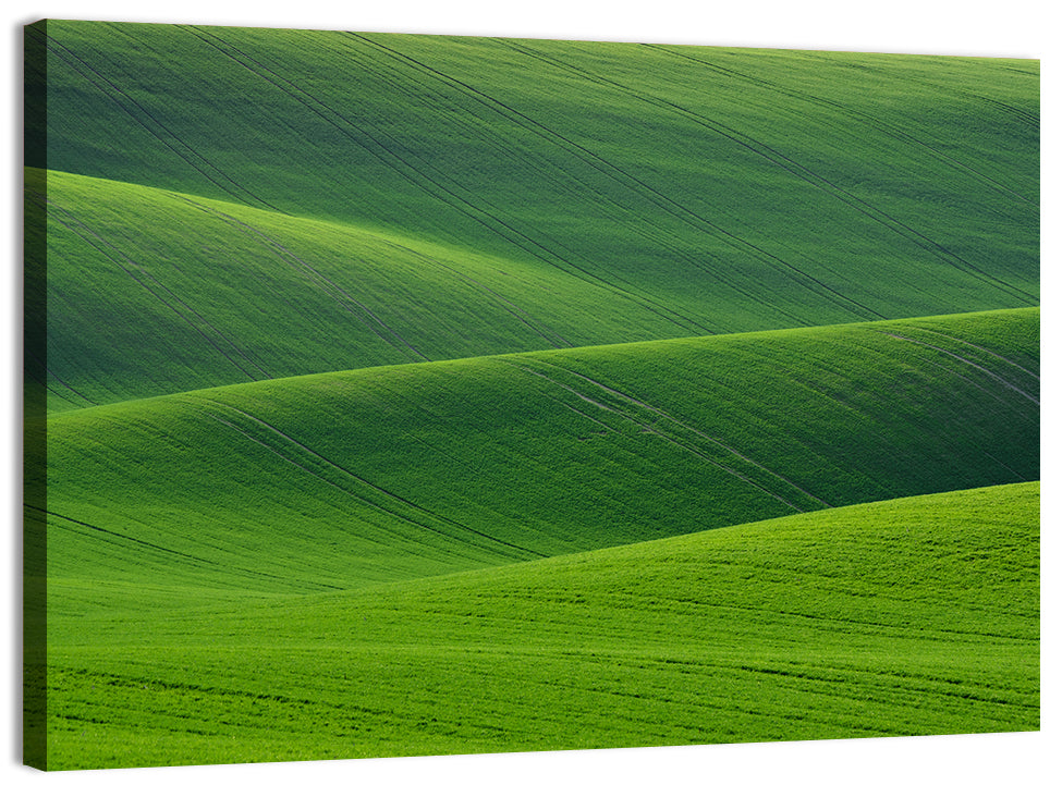 Rolling Emerald Wheat Fields Wall Art, canvas print, landscape