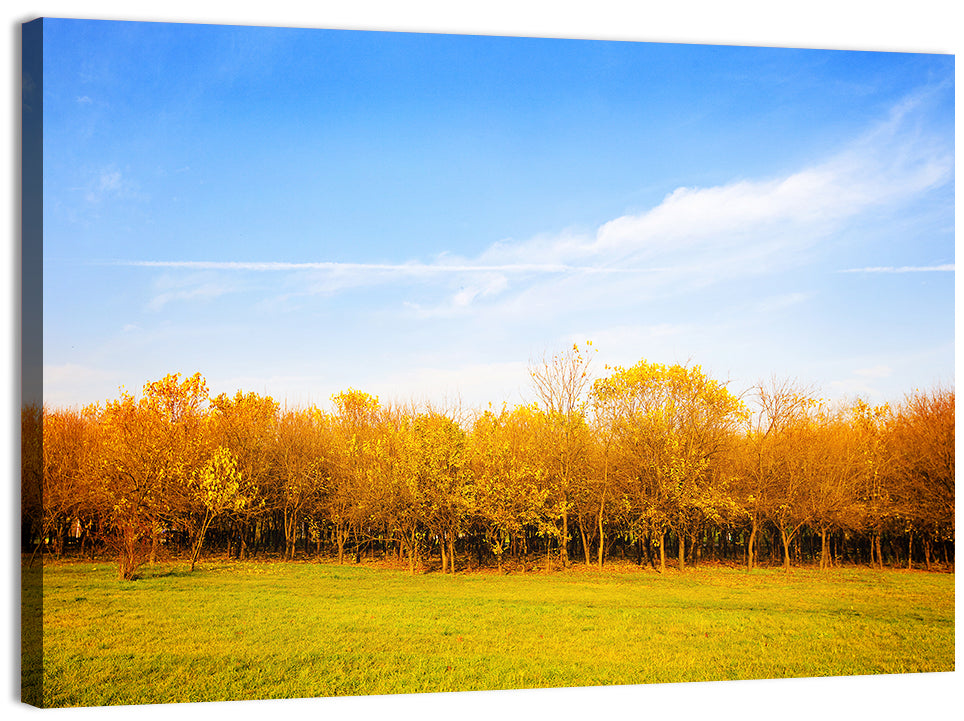 Autumn Forest Meadow Wall Art, canvas print, landscape