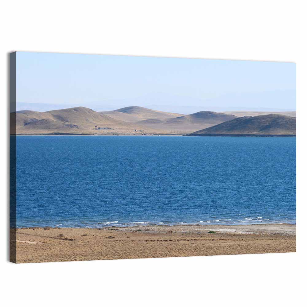 Aydarkul Lake Uzbekistan Wall Art