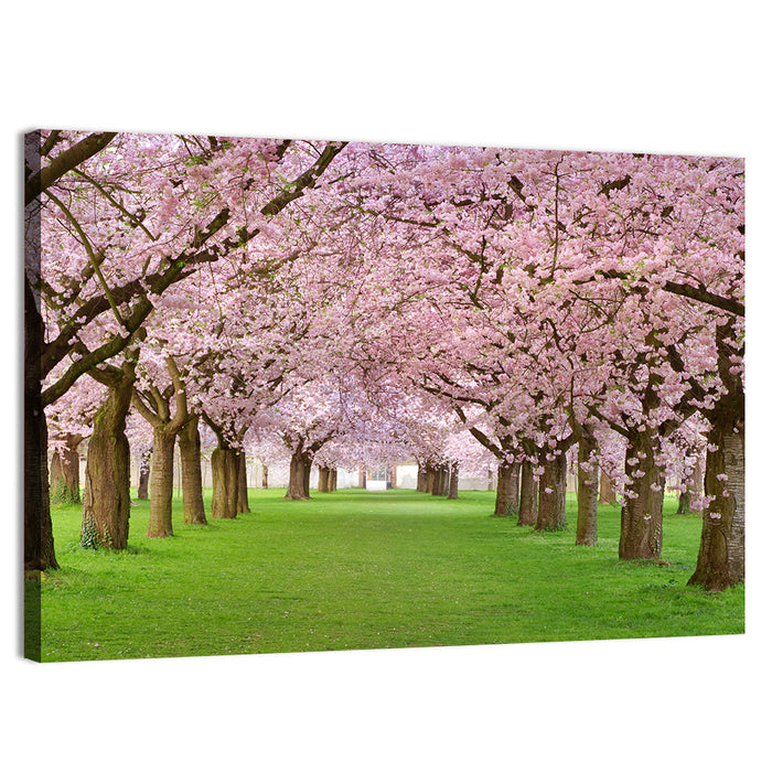 Cherry Blossom Avenue Wall Art as a canvas print