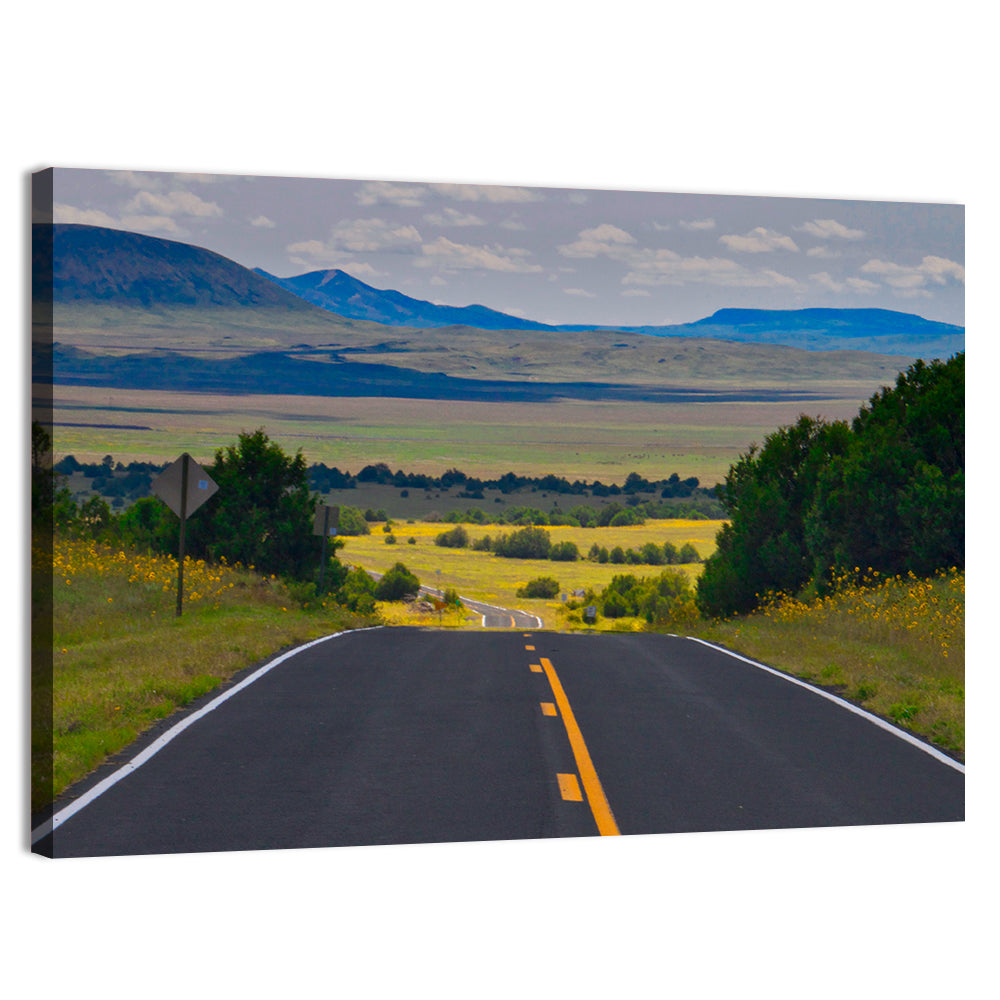 New Mexico Highway Wall Art, canvas print, landscape