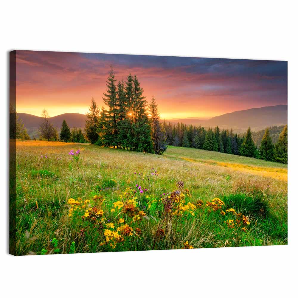 Sunset Meadow with Wildflowers Wall Art, canvas print, landscape