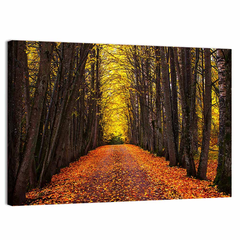 Autumn Park Path Under Yellow Canopy Wall Art, canvas print, landscape