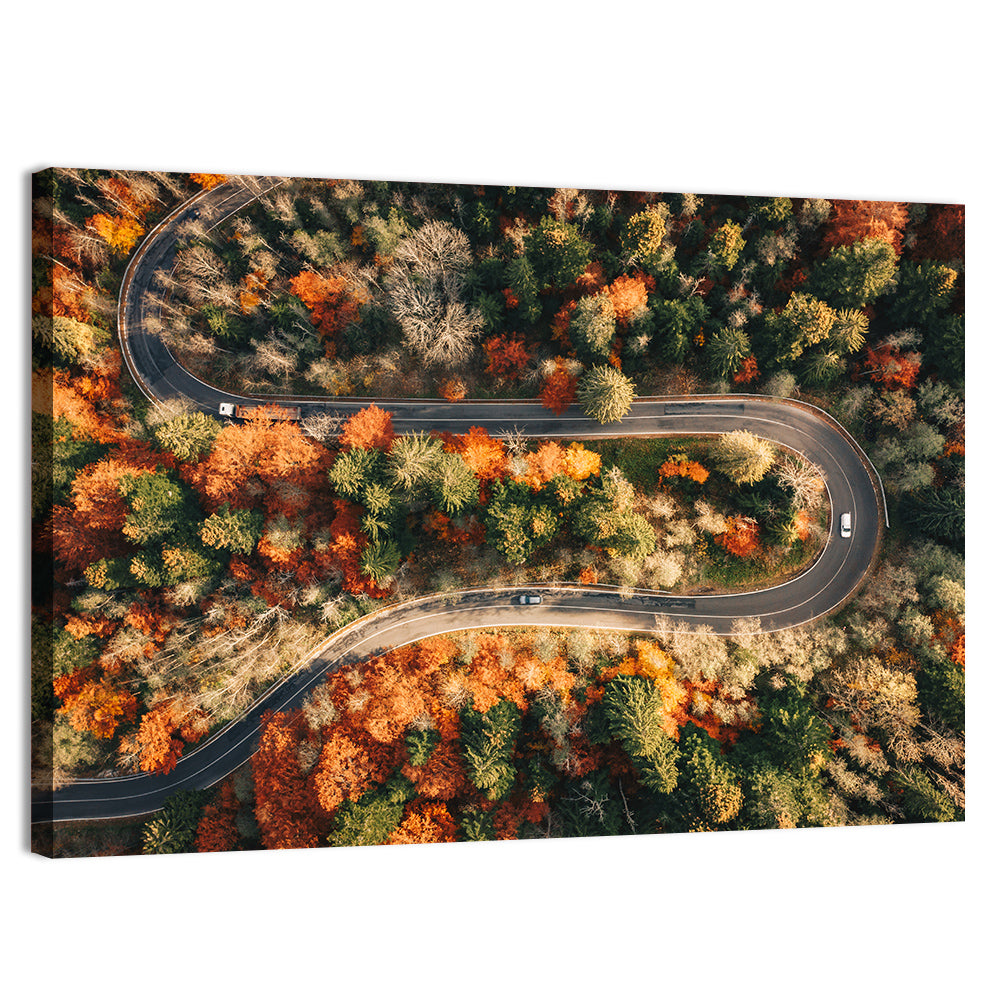Aerial Winding Autumn Forest Road Wall Art, canvas print, landscape