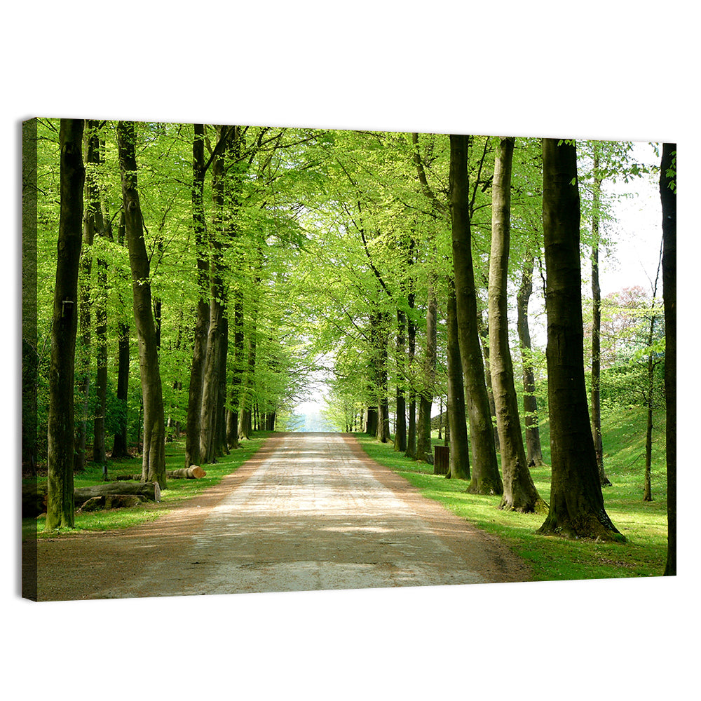 Sunlit Tree-lined Path Wall Art, canvas print, landscape