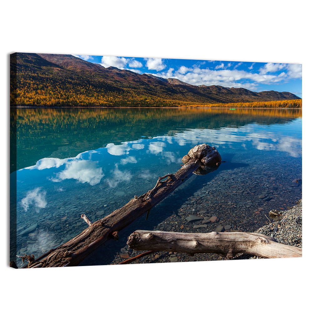 Autumn Driftwood at Eklutna Lake Wall Art, canvas print, landscape