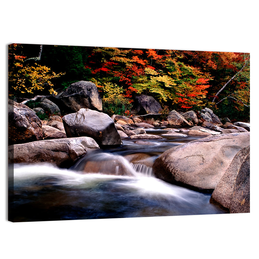 New Hampshire Autumn Stream Wall Art, canvas print, landscape