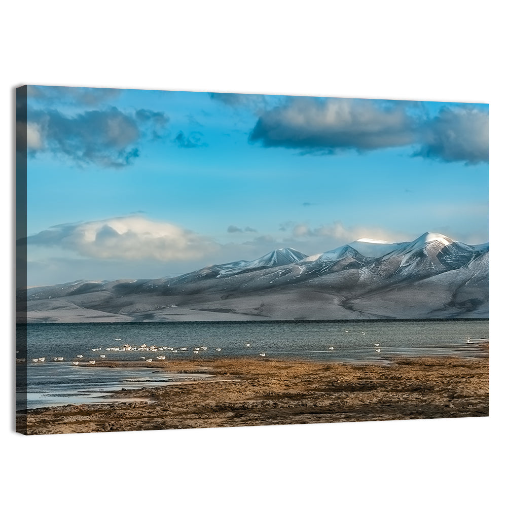Lake Manasarovar Shoreline Wall Art, canvas print, landscape