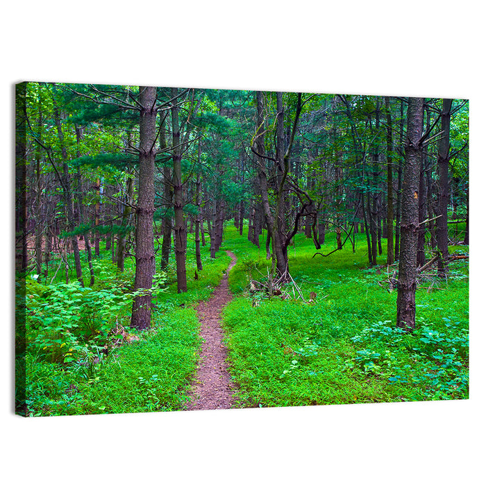 Lush Virginia Forest Trail Wall Art as a canvas print