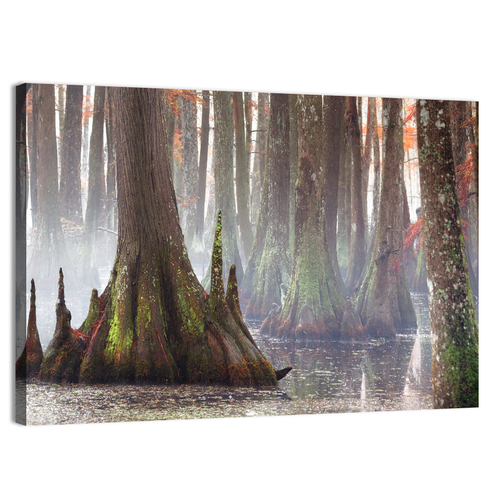 Chicot State Park Morning Fog Wall Art, canvas print, landscape