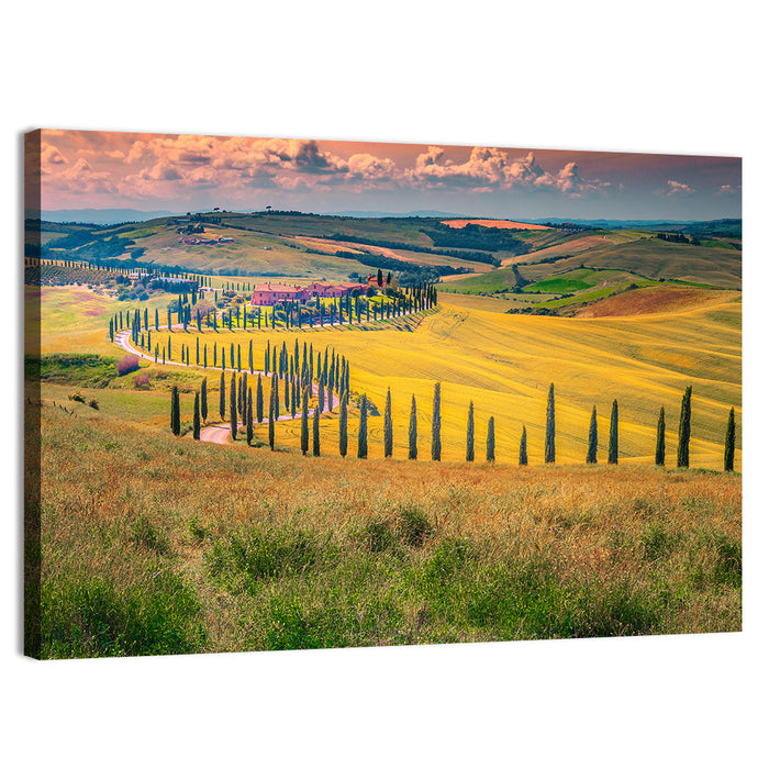 Val D'orcia Cypress Road Wall Art as a canvas print