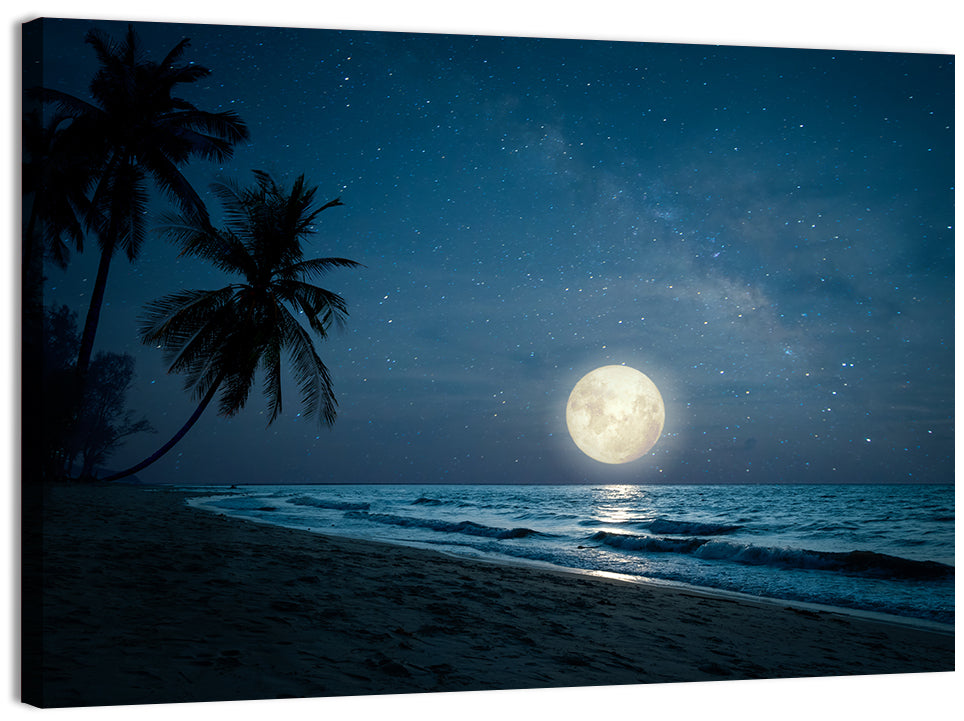 Palm Beach Moonset Wall Art, canvas print, landscape