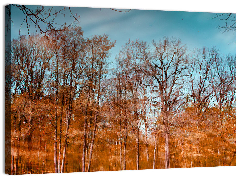 Autumn Reflection Wall Art, canvas print, landscape