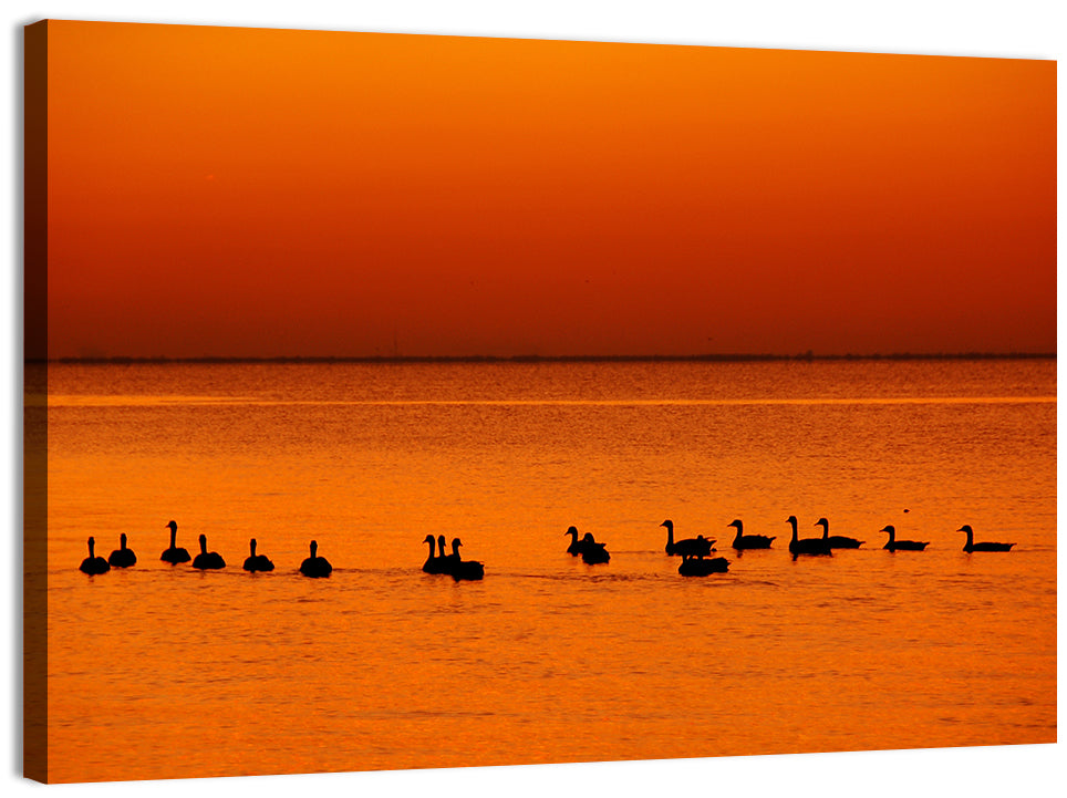 Geese Silhouettes at Orange Sunset Wall Art, canvas print, landscape