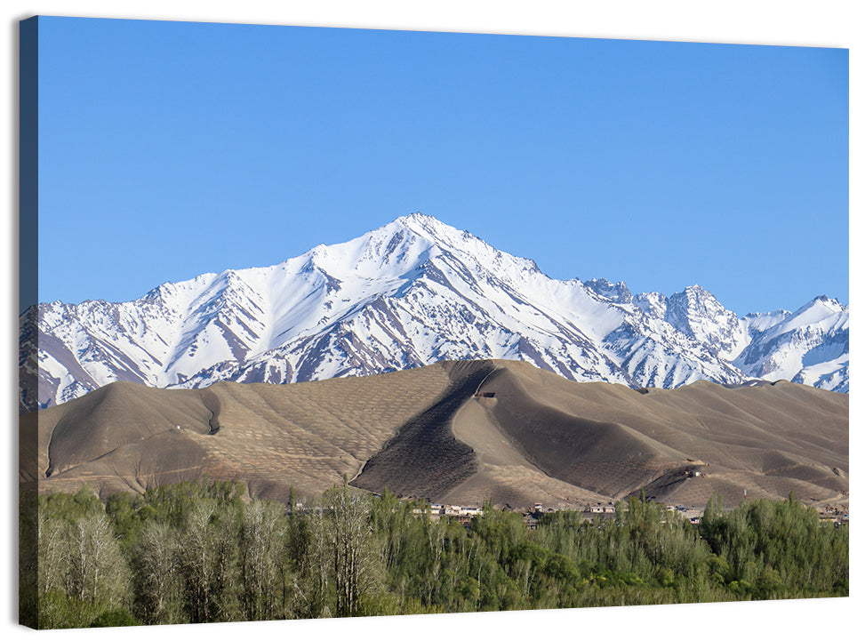 Afghan Snow-capped Peaks Above Forested Foothills Wall Art, canvas print, landscape