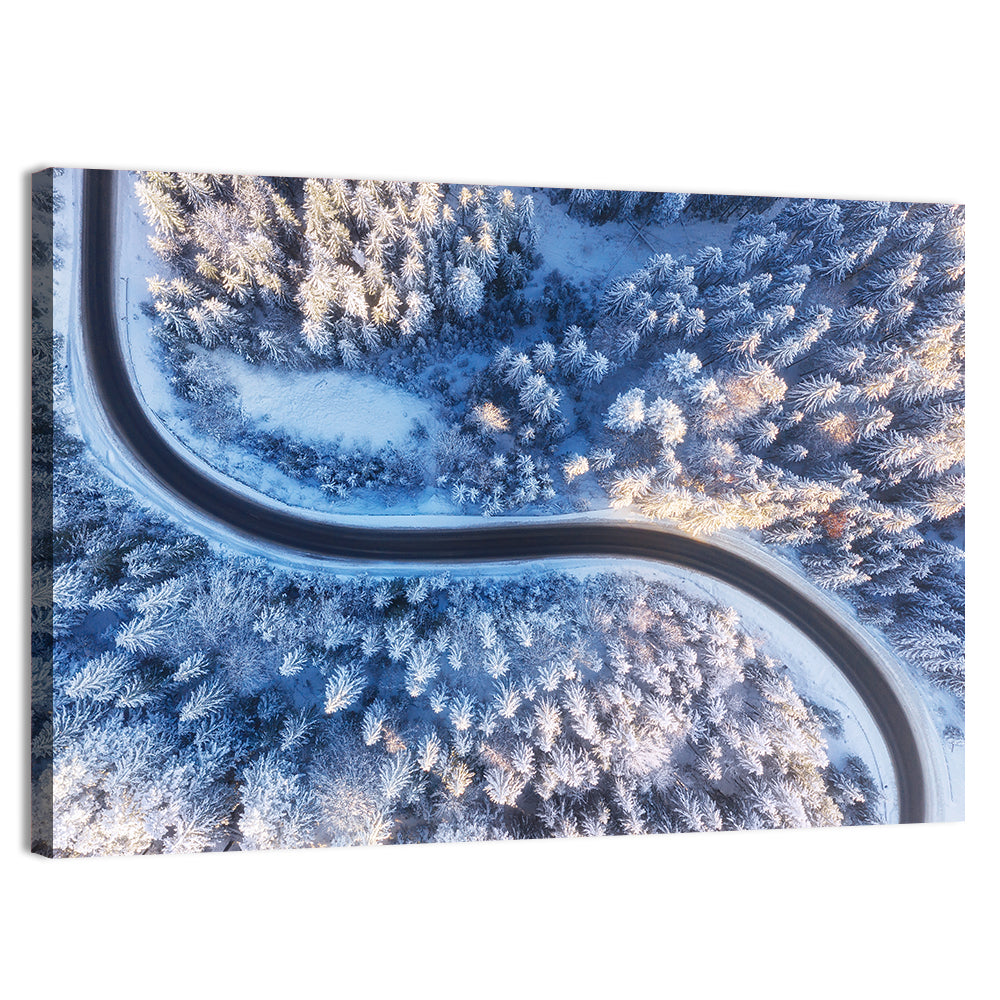 Snowy Forest Road at Golden Hour Wall Art, canvas print, landscape