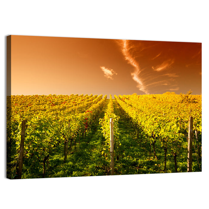 Golden Vineyard Sunset Wall Art as a canvas print