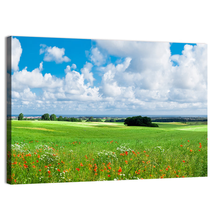 Summer Meadow with Poppies Wall Art as a canvas print