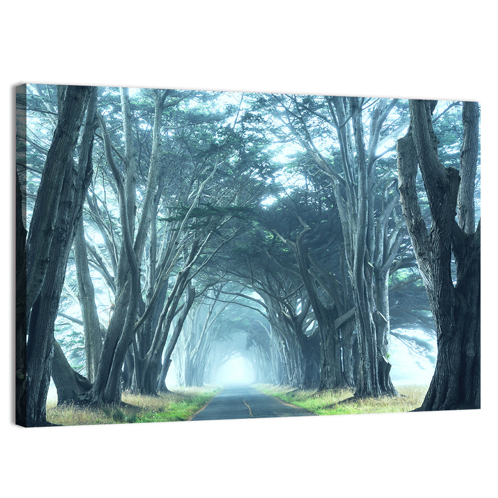 Foggy Cypress Tree Tunnel Wall Art, canvas print, landscape
