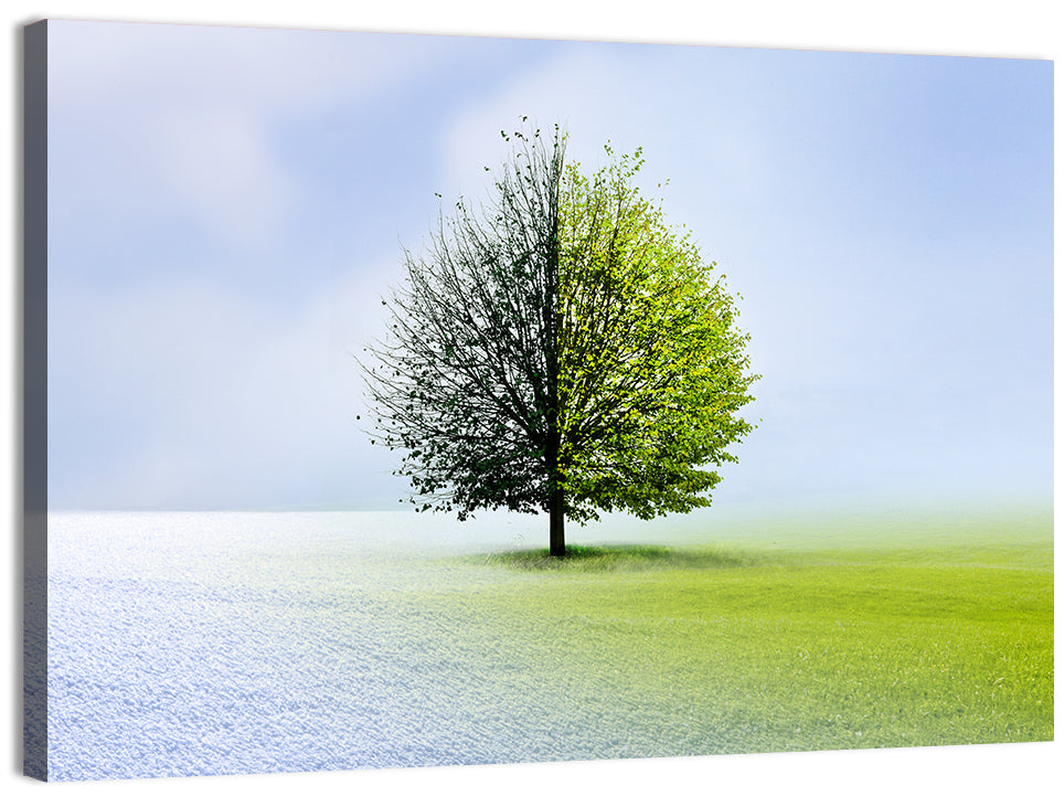 Winter to Spring Tree Wall Art, canvas print, landscape