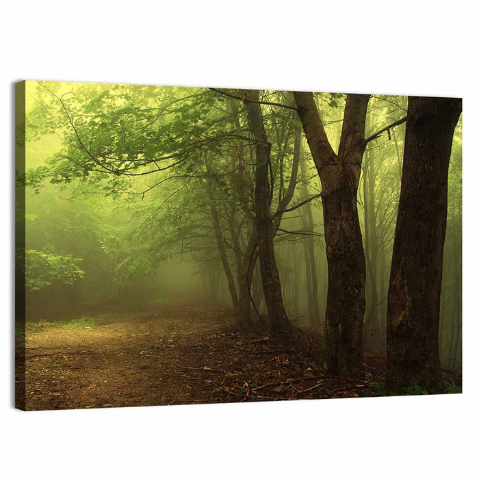 Misty Green Forest Path Wall Art as a canvas print