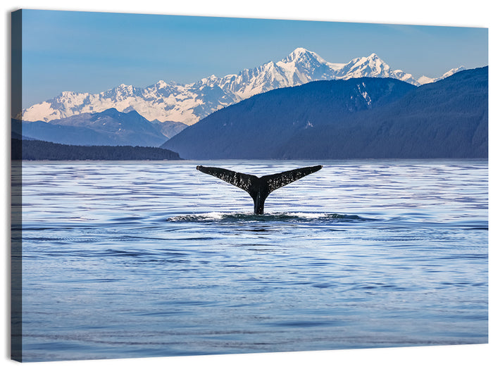 Alaska Whale Tail Wall Art as a canvas print
