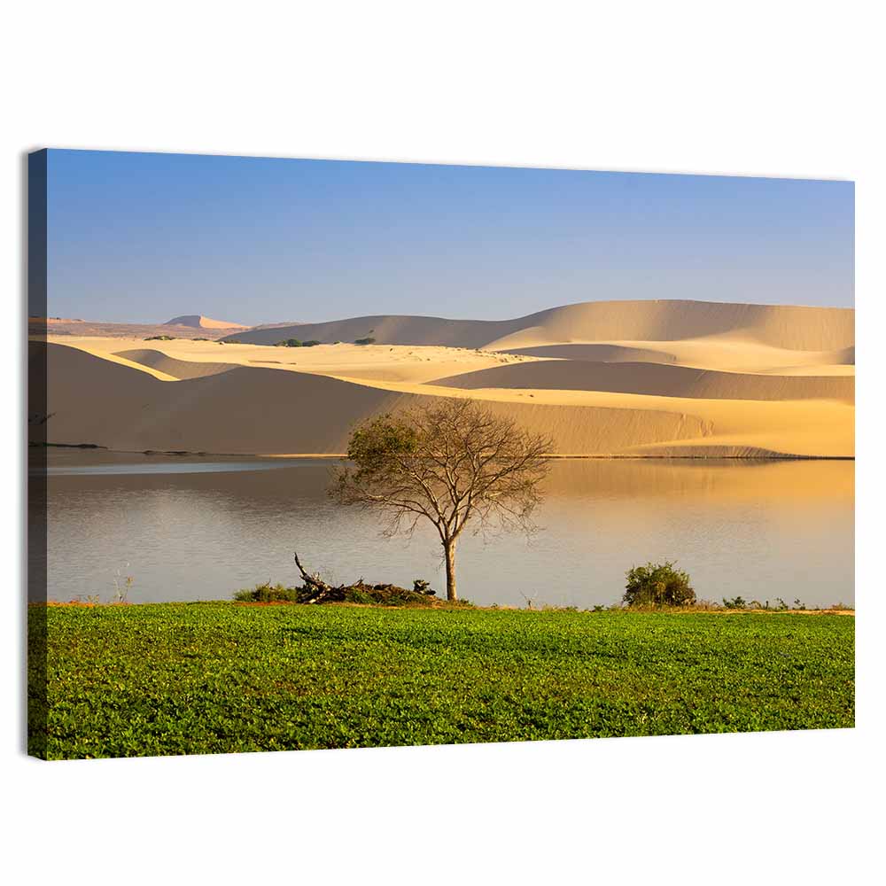 Sand Dunes In Mui Ne Wall Art
