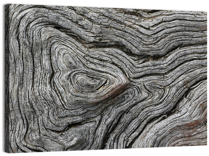 Tree Growth Rings Wall Art as a canvas print