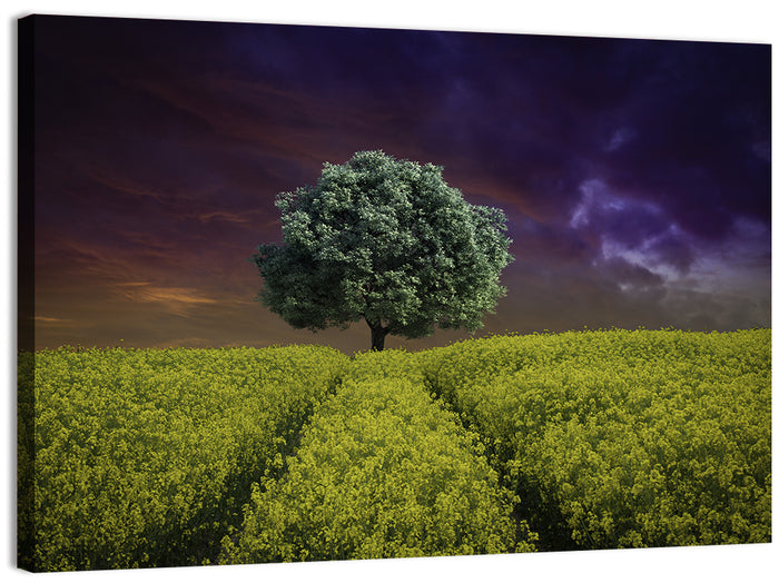 Solitary Tree in Yellow Field Wall Art as a canvas print