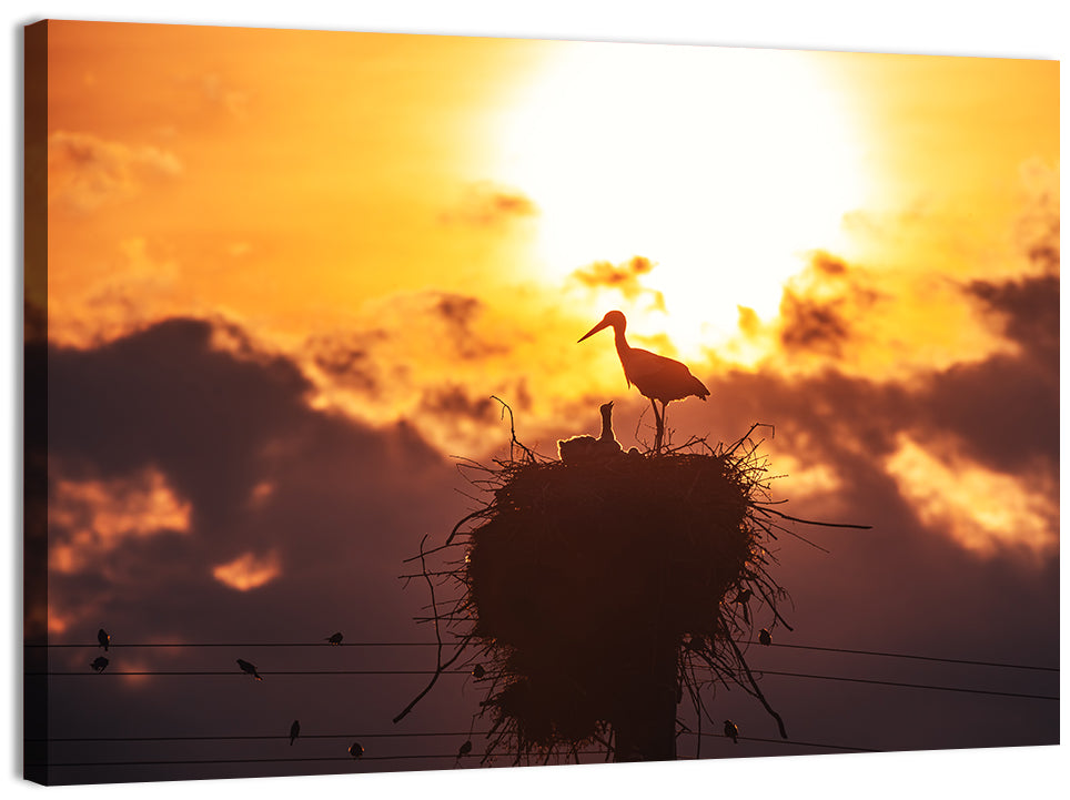 Stork Nest at Sunset Wall Art, canvas print, landscape