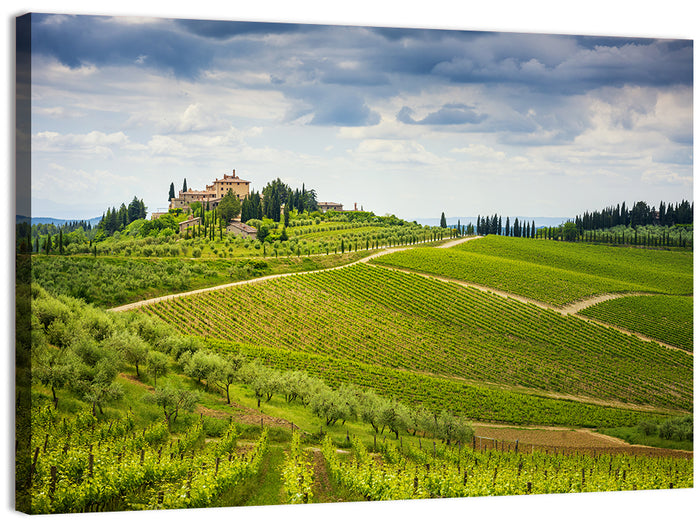 Chianti Vineyard Hills Wall Art as a canvas print