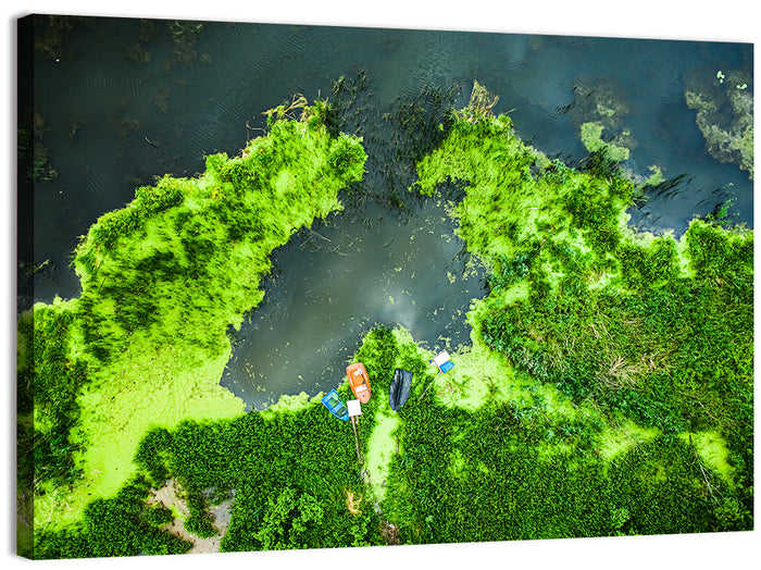 Green Algae Lake with Boats Wall Art as a canvas print