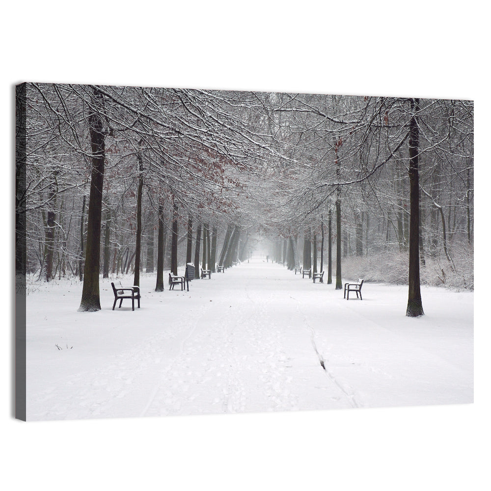 Park Lane in Snow Wall Art