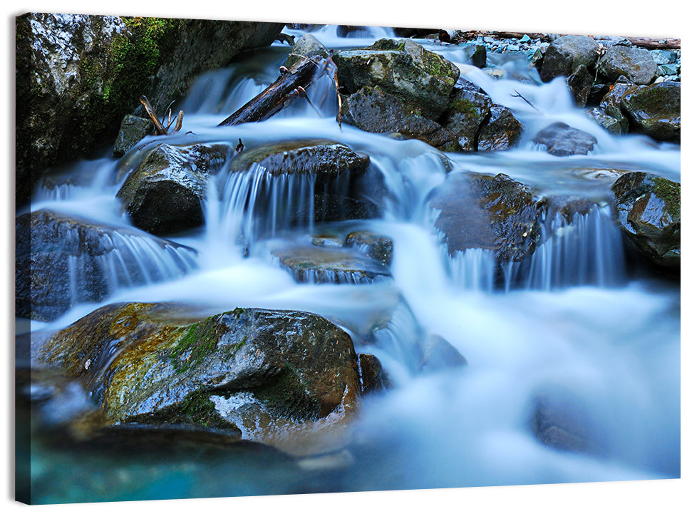 Mossy Rock Stream with Silky Waterfall Wall Art, canvas print, landscape