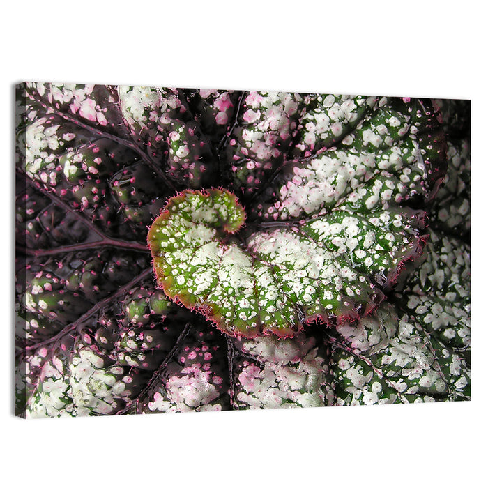 Begonia Leaf Spiral Geometry Wall Art as a canvas print