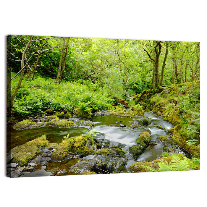 Mossy Stream Through Forest Wall Art as a canvas print