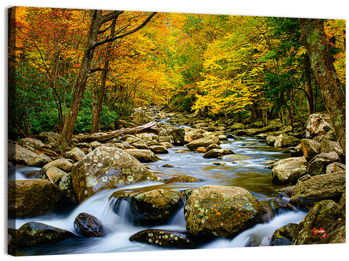 Autumn Stream Through Forest Wall Art as a canvas print