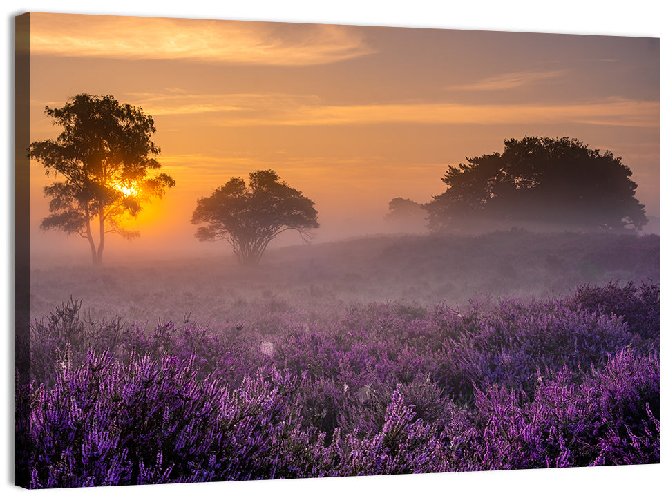 Misty Heather Field at Dawn Wall Art, canvas print, landscape