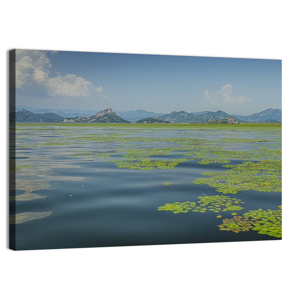 Lake Skadar Water Lilies Wall Art, canvas print, landscape