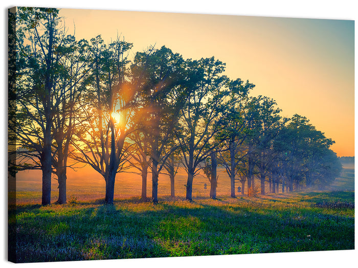 Oak Alley Golden Hour Wall Art as a canvas print